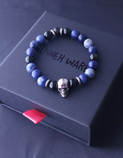 Blue Vein Sodalite_Agate Onyx_Black Obsidian_Skull_Box